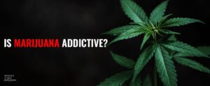 1 Is Marijuana Addictive   1