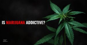 1 What Is A Dual Diagnosis Drug And Alcohol Treatment Center   1 1