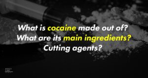 16 What Is Cocaine Made Out Of  What Are Its Main Ingredients  Cutting Agents   1