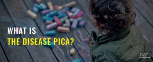 17 What Is The Disease Pica  1100 X 450 2