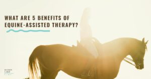 20 What Are 5 Benefits Of Equine Assisted Therapy  1200 X 630