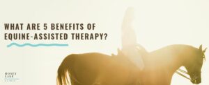 20 What Are 5 Benefits Of Equine Assisted Therapy 1100 X 450
