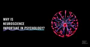 27 Why Is Neuroscience Important In Psychology  1200 X 630