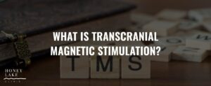 3 What Is Transcranial Magnetic Stimulation  3