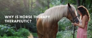 32 Why Is Horse Therapy Therapeutic  1100 X 450