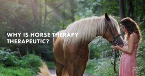 32 Why Is Horse Therapy Therapeutic   1