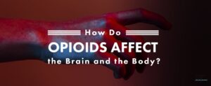 35 How Do Opioids Affect The Brain And The Body
