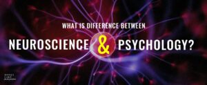37 What Is The Difference Between Neuroscience And Psychology  1100 X 450