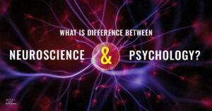 37 What Is The Difference Between Neuroscience And Psychology  1200 X 630