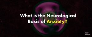 43 What Is The Neurological Basis Of Anxiety   1