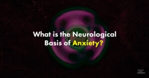 43 What Is The Neurological Basis Of Anxiety   1