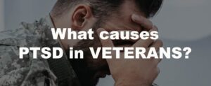What Causes Ptsd Web