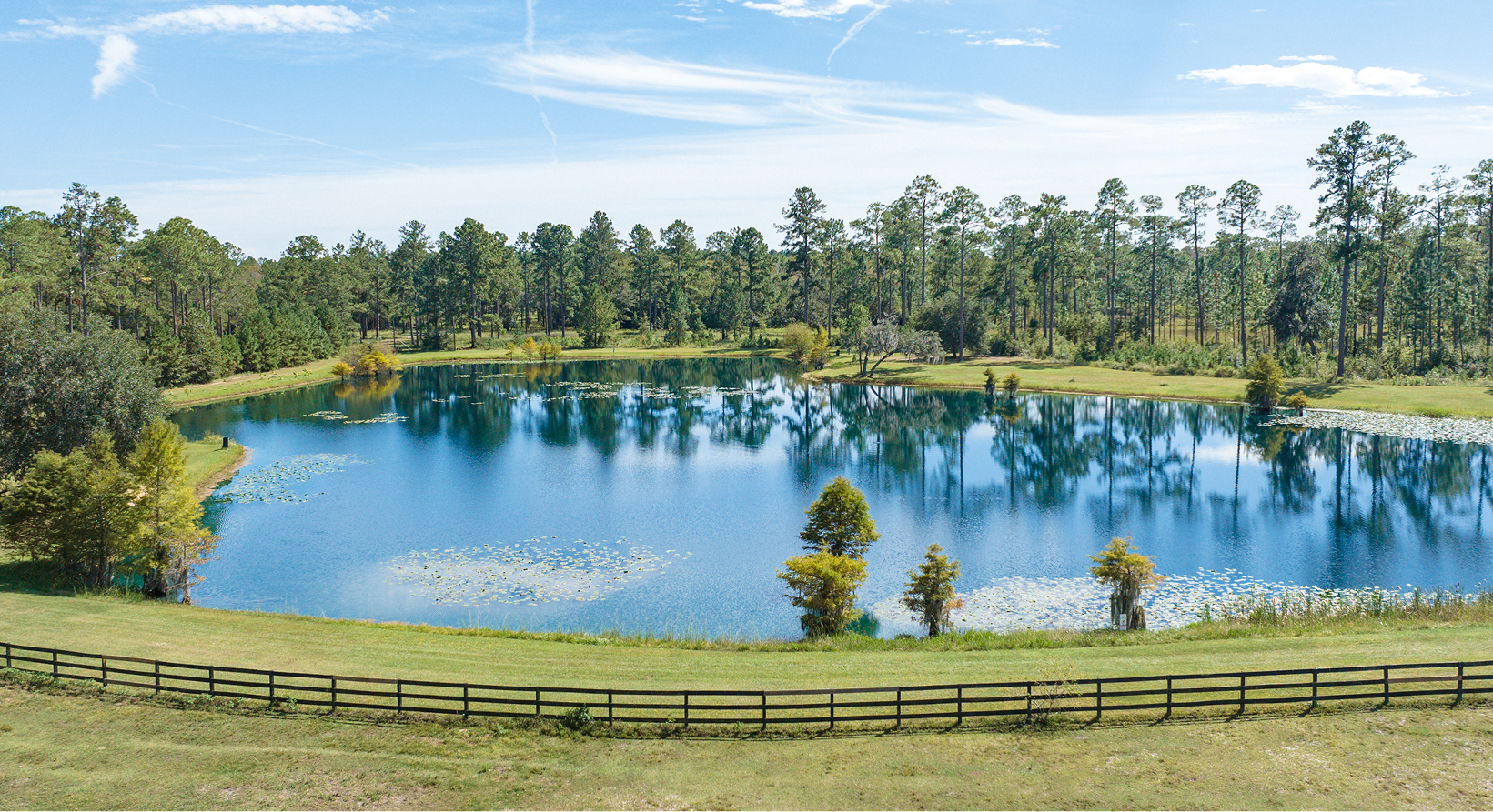 A sunny day overlooking the lake at Honey Lake Clinic surrounded by pastoral landscaping